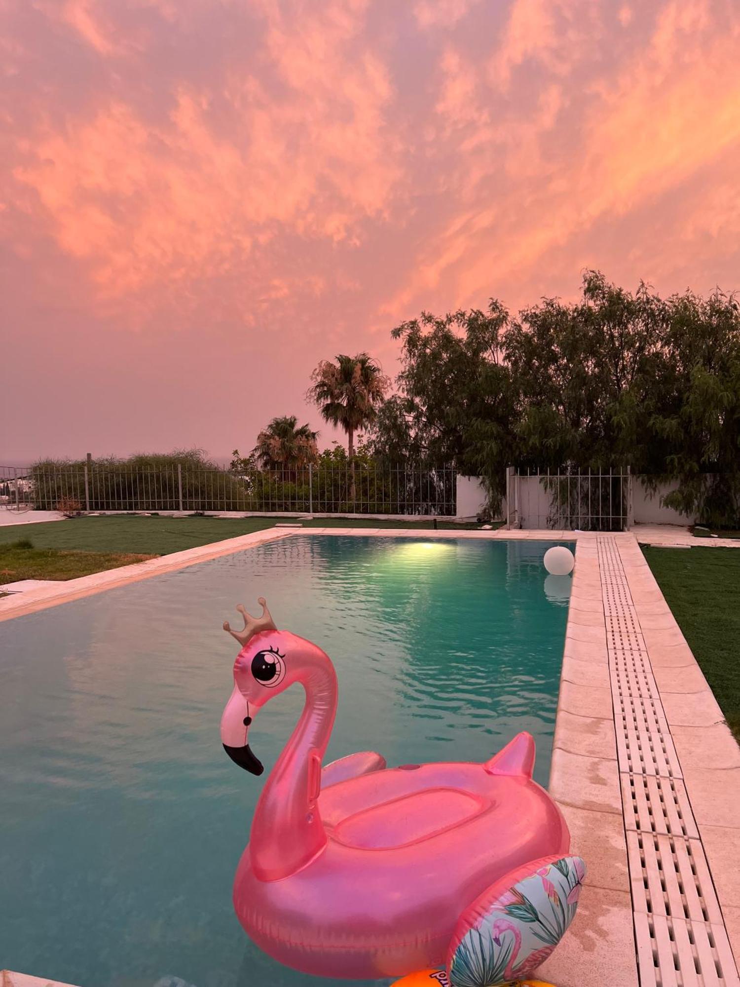 Hotel Chez Hayet Hammamet Exteriér fotografie
